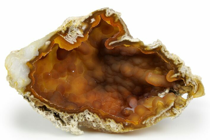 Agatized Fossil Coral Geode - Florida #257862